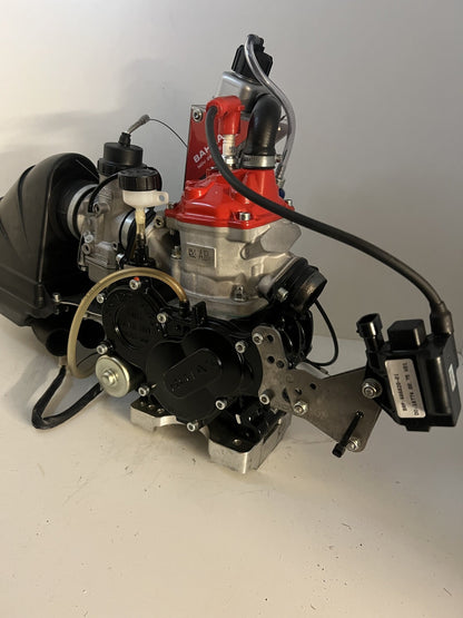 Rotax Mini Max motorset