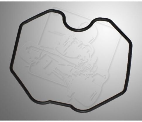 Joint de chambre à flotteur Briggs et Stratton WF